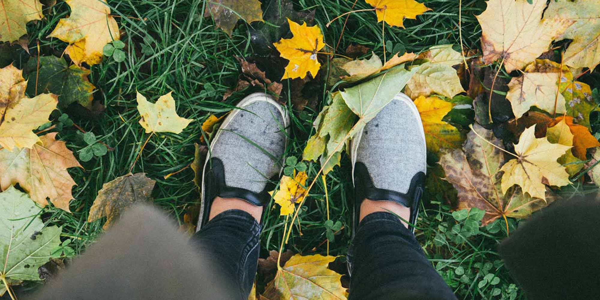 fall-leaves