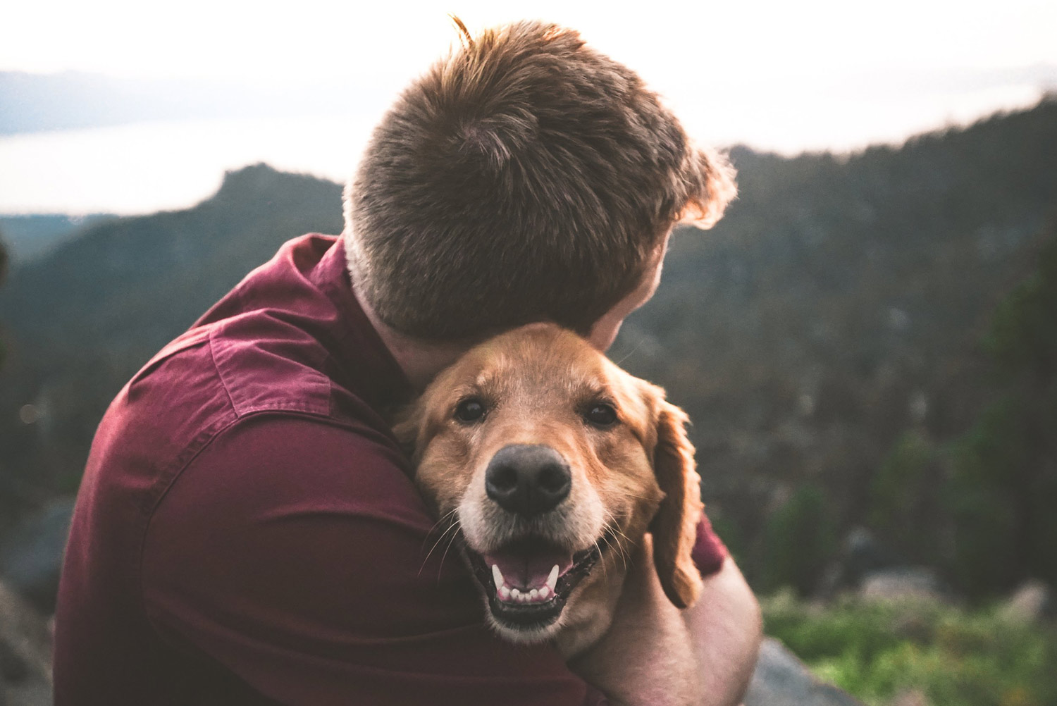 Man hugging a dog. Mental Health Awareness