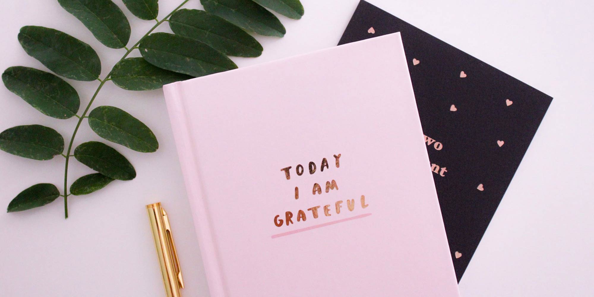 Gratitude journals and greenery on a pink background