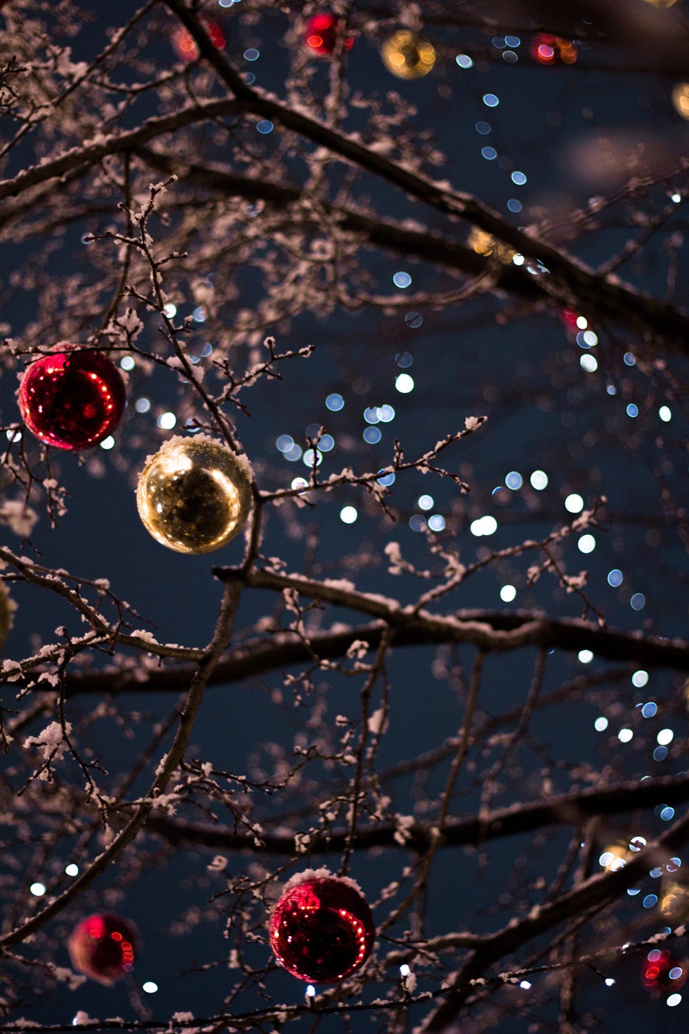 Bare, snowy tree branches decorated with Christmas balls and twinkle lights