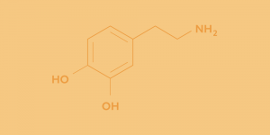 Blog-Dopamine