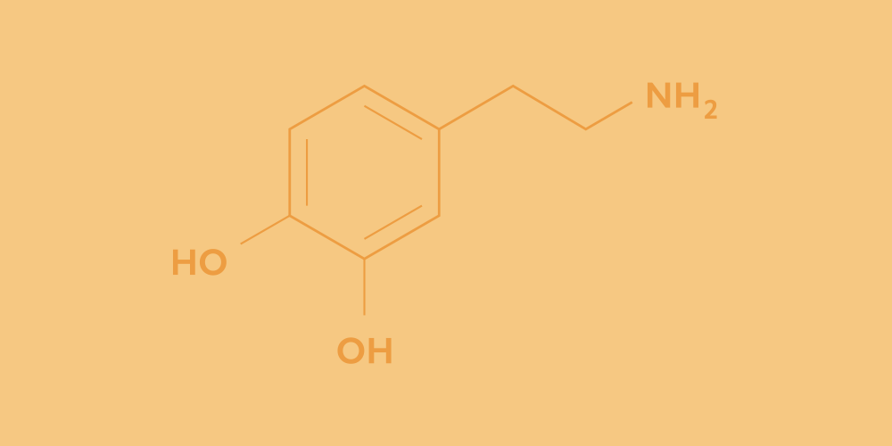 Blog-Dopamine