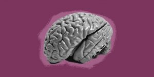 Grayscale image of a brain against a purple background