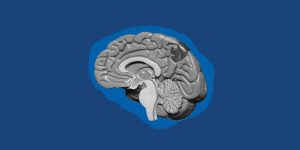Grayscale illustration of a brain on a dark blue background. Dopamine detox time theorist