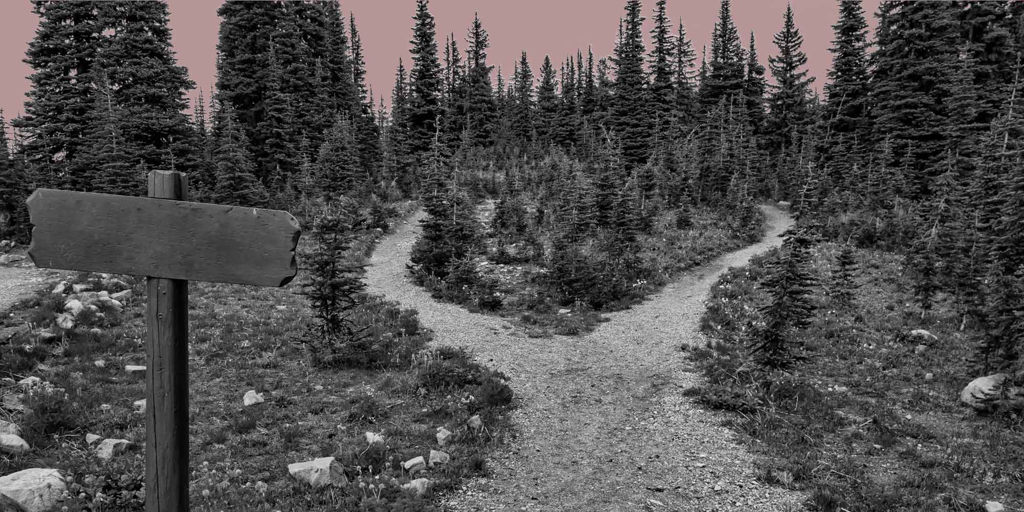 Paths through the woods. "Getting sober" is not a destination, but a process.