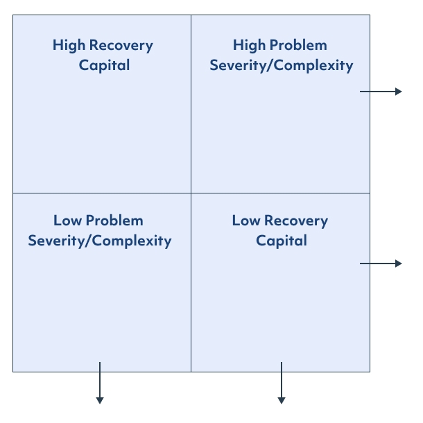 Recovery capital diagram