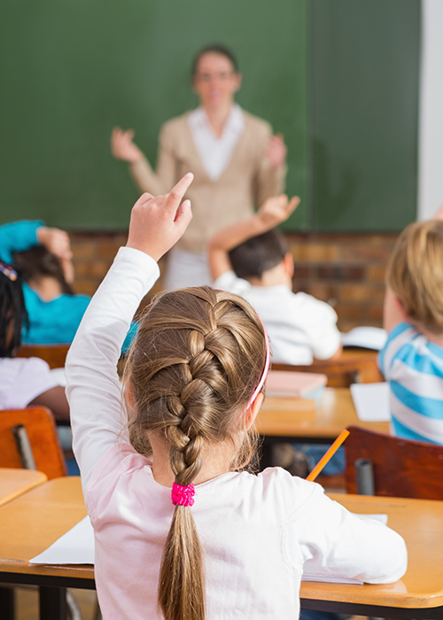 Girl with a braid raises her hand in class - teachers