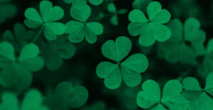 Vivid green closeup of shamrocks growing together. St. Patrick's Day Sober