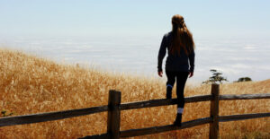 View from the back of a woman climbing over a fence into a field on the other side.