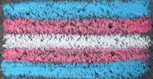 Stripes of colored chalk on concrete, in bands of blue, pink, and white forming the colors and pattern of the trans pride flag