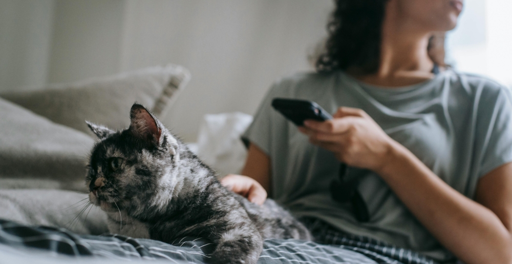 A woman sits on her bed, holding a smartphone in one hand and petting a cat with the other