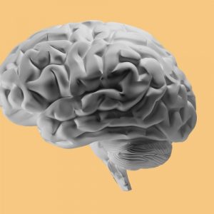 Brain against a yellow background. How meth affects the brain