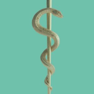 A golden Rod of Asclepius against a green background. Medication can help you drink less.