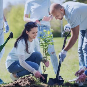 A group of volunteers in jeans and t-shirts cooperate to plant a young tree.