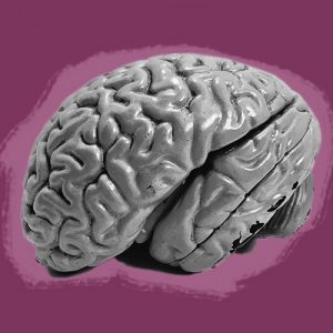 Grayscale image of a brain against a purple background