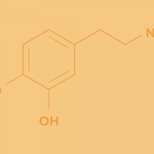 Blog-Dopamine