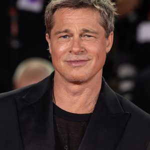 Actor Brad Pitt at the 81st Venice International Film Festival. Photo by Harald Krichel. https://commons.wikimedia.org/wiki/File:Brad_Pitt-69858.jpg