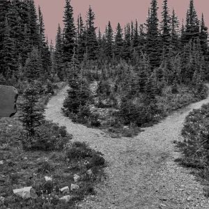 Paths through the woods. "Getting sober" is not a destination, but a process.