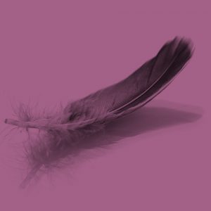 Feather on a purple background. Recovery mantras to help you stay on track