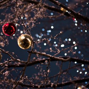 Bare, snowy tree branches decorated with Christmas balls and twinkle lights