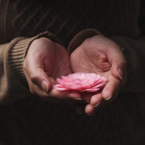hands-holding-flower